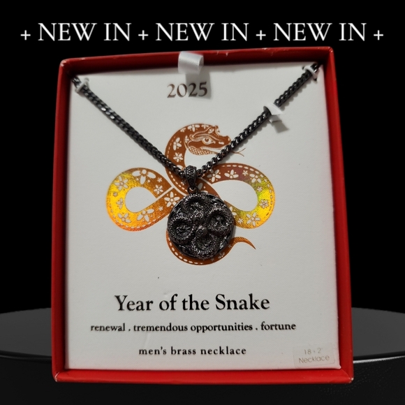 NIB/NWOT Year of the Snake Men's Jewelry Bundle: Necklace & Bracelet Set - Picture 3 of 5